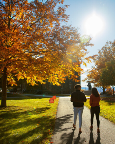Students walking along a path in the fall