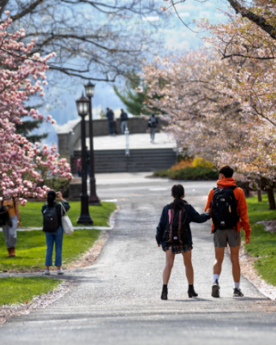 students walking along a path with trees blooming in the spring