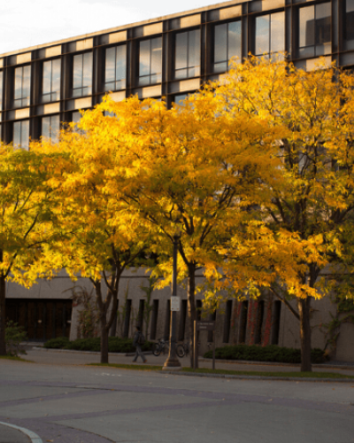 Uris Hall with trees colored by autumn leaves in front